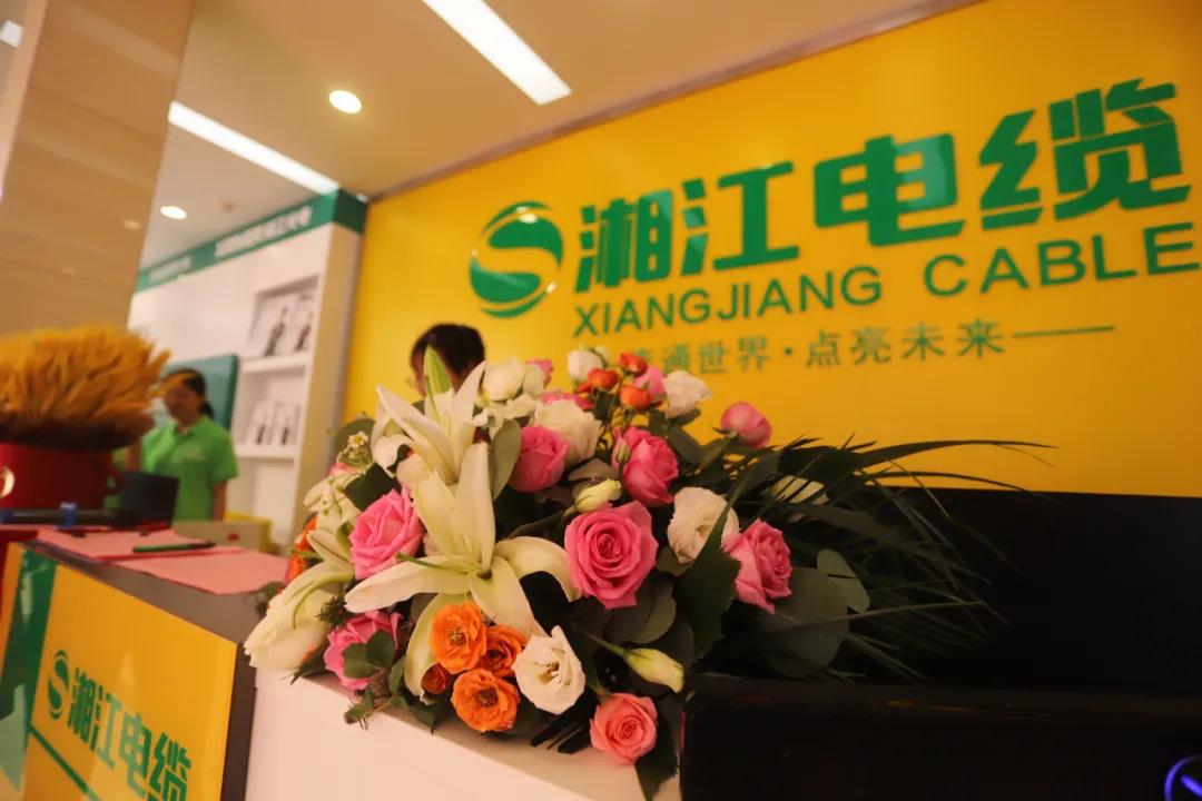 連通世界 點亮未來?。∠娼娎|集團(tuán)武漢旗艦店開業(yè)慶典盛大舉行！
